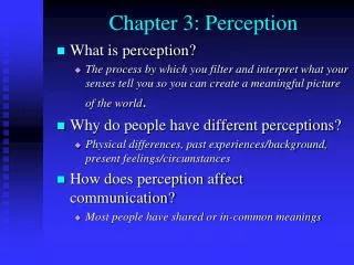 Chapter 3: Perception