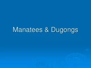 Manatees &amp; Dugongs