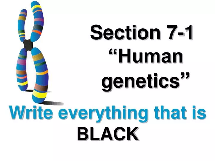 section 7 1 human genetics
