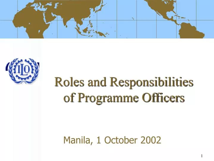 roles and responsibilities of programme officers