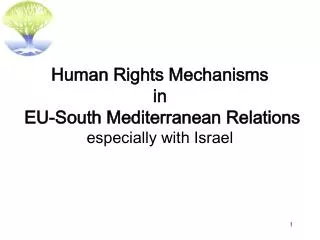 Human Rights Mechanisms in EU-South Mediterranean Relations especially with Israel
