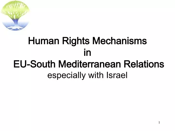 human rights mechanisms in eu south mediterranean relations especially with israel