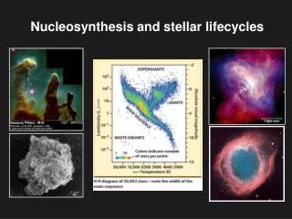 Nucleosynthesis and stellar lifecycles