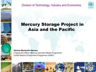 Mercury Storage Project in Asia and the Pacific