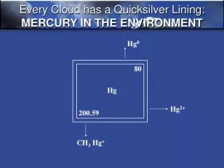 Every Cloud has a Quicksilver Lining: MERCURY IN THE ENVIRONMENT