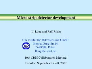 Micro strip detector development