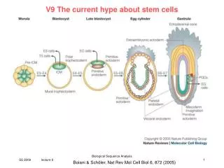 V9 The current hype about stem cells