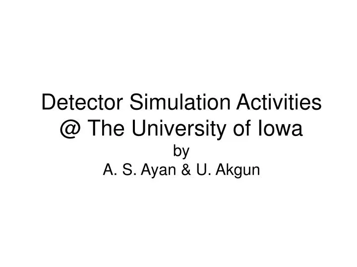 detector simulation activities @ the university of iowa by a s ayan u akgun