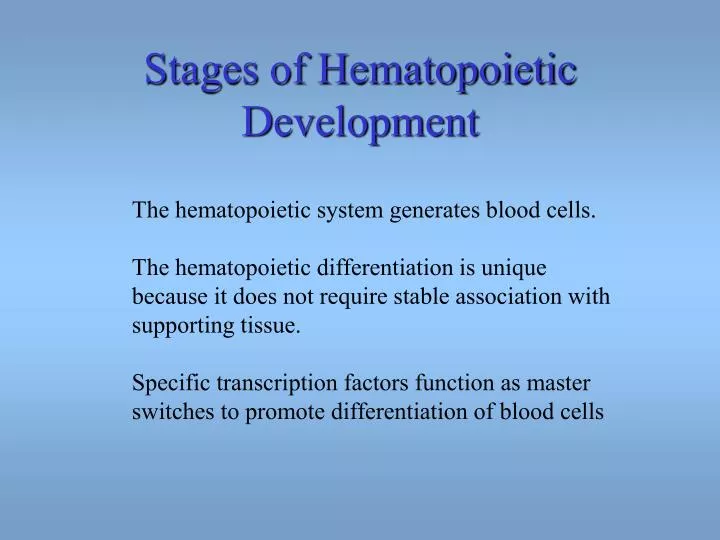 stages of hematopoietic development