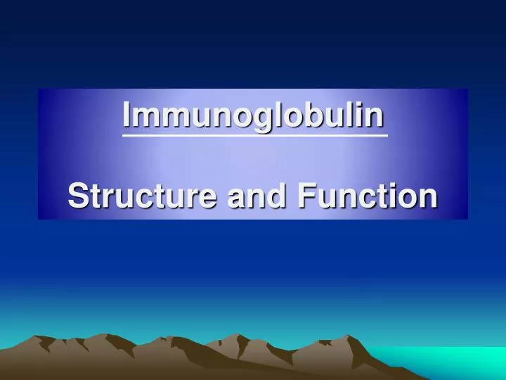 immunoglobulin structure and function