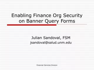 Enabling Finance Org Security on Banner Query Forms