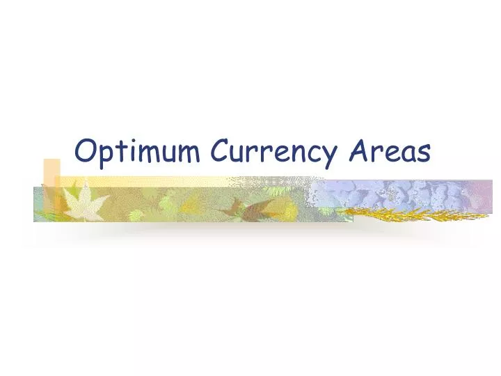 optimum currency areas