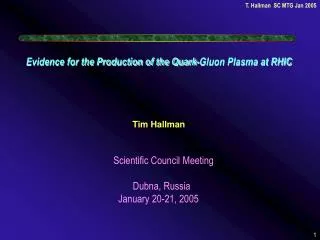 Evidence for the Production of the Quark-Gluon Plasma at RHIC