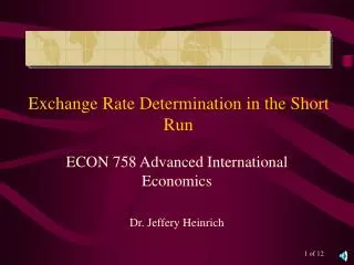 Exchange Rate Determination in the Short Run