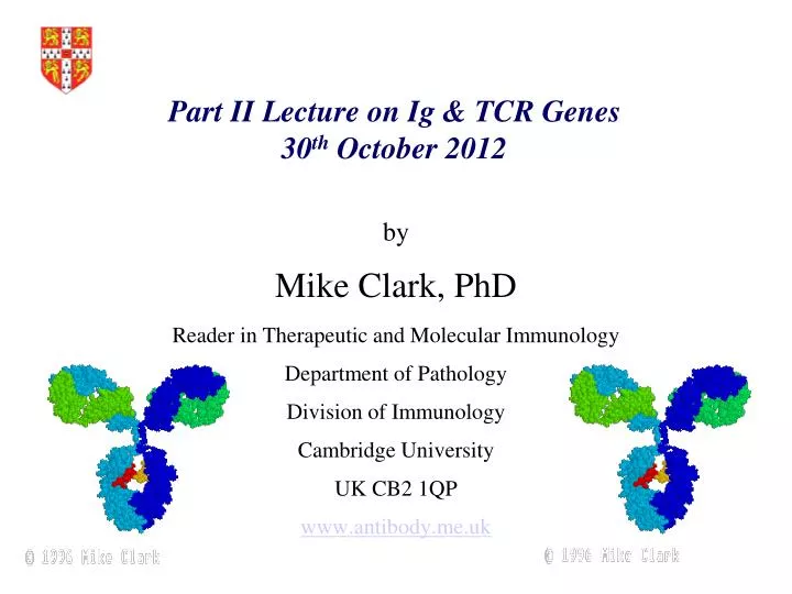 part ii lecture on ig tcr genes 30 th october 2012