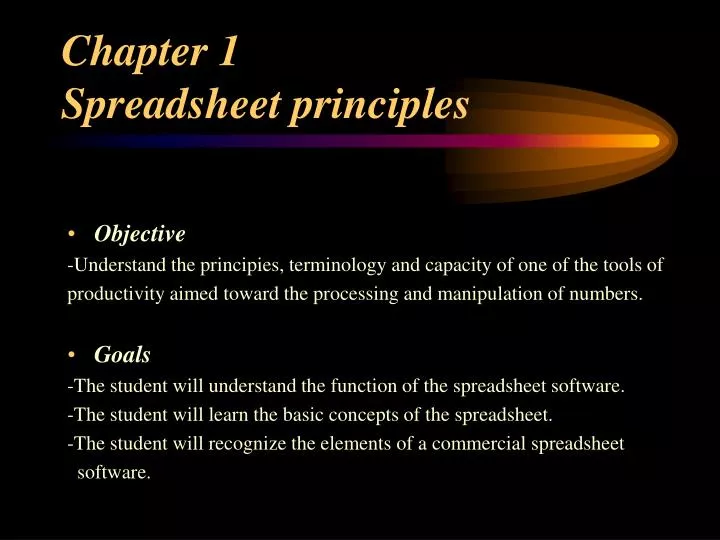 chapter 1 spreadsheet principles