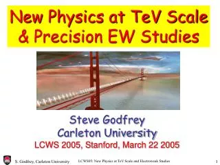 New Physics at TeV Scale &amp; Precision EW Studies