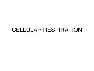 CELLULAR RESPIRATION