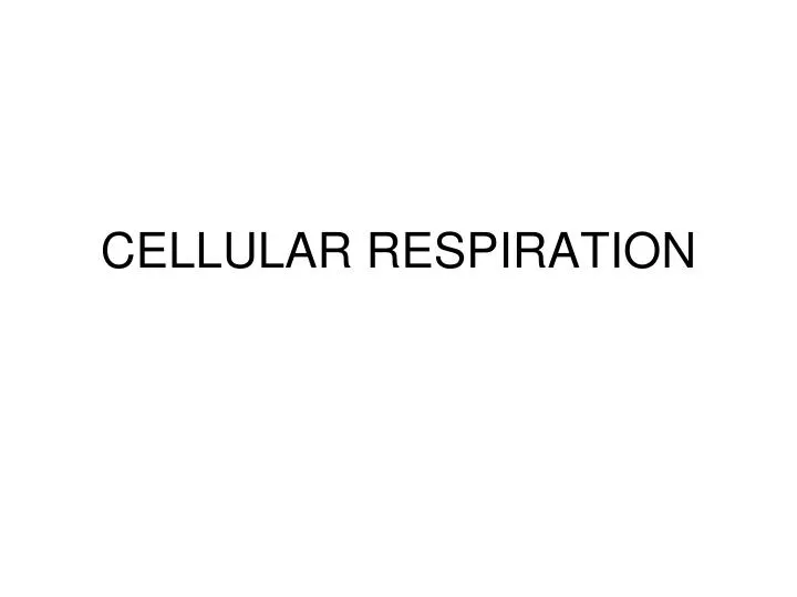 cellular respiration