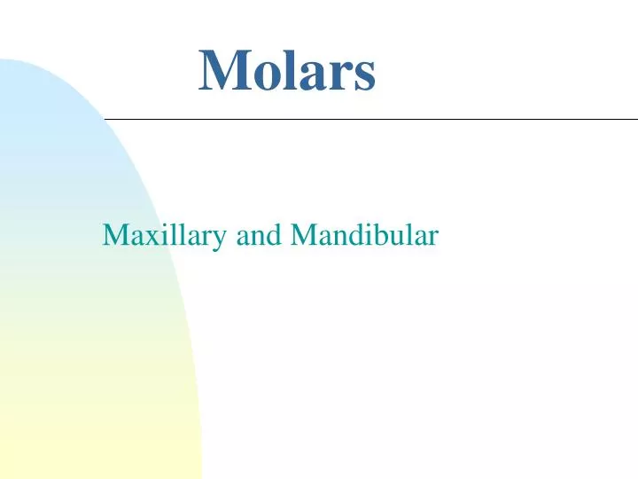 Ppt Molars Powerpoint Presentation Free Download Id4524183
