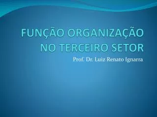 fun o organiza o no terceiro setor