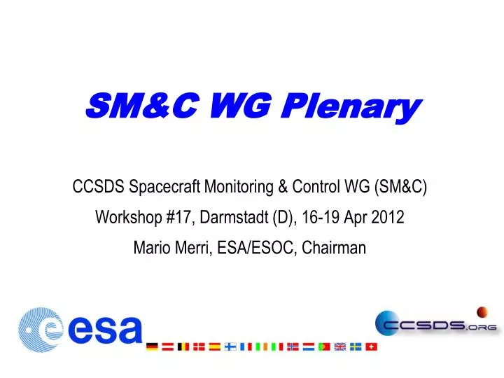 sm c wg plenary