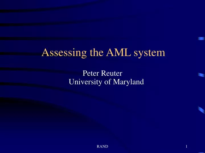 assessing the aml system