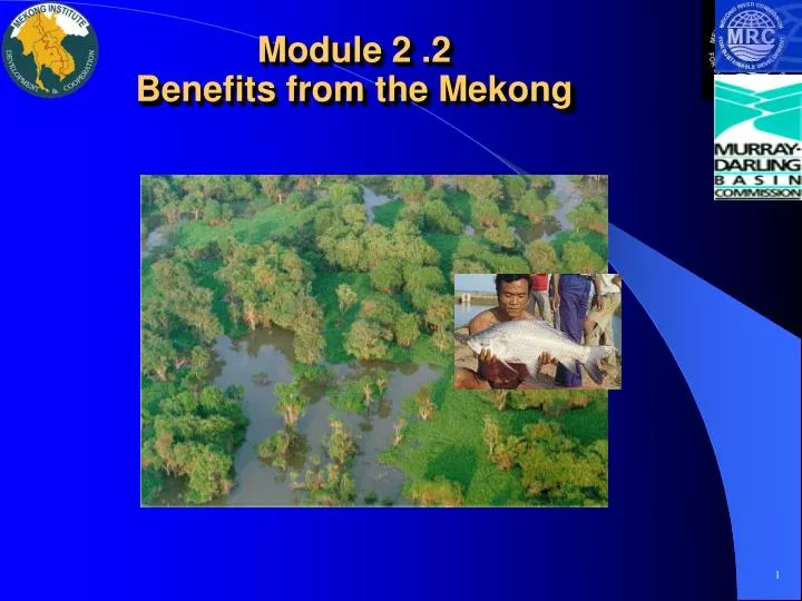 module 2 2 benefits from the mekong