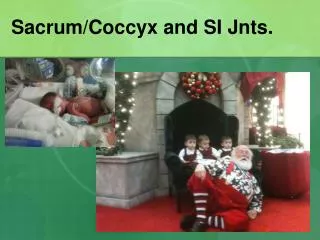 Sacrum/Coccyx and SI Jnts.