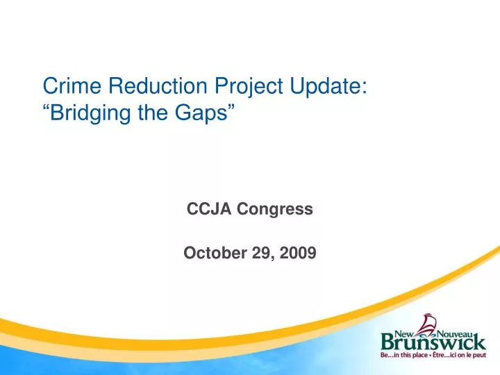 crime reduction project update bridging the gaps