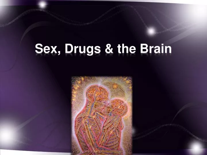 sex drugs the brain