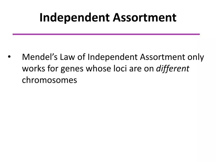 independent assortment