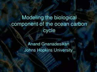 Modeling the biological component of the ocean carbon cycle