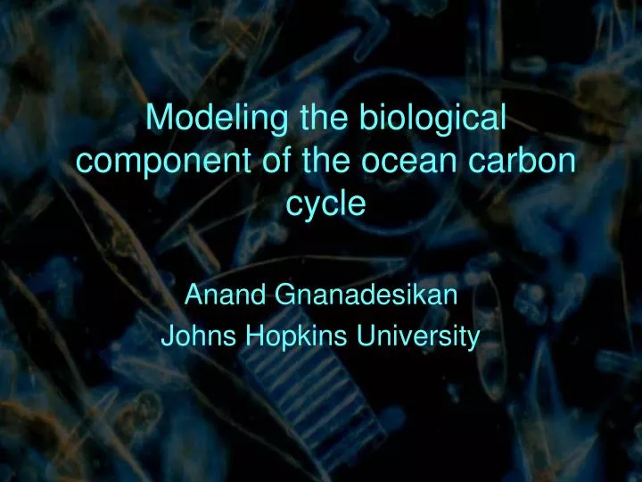 modeling the biological component of the ocean carbon cycle