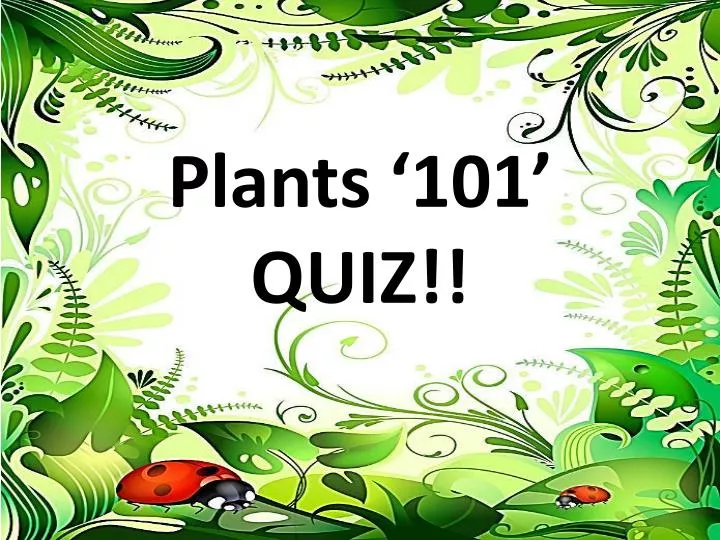 plants 101 quiz