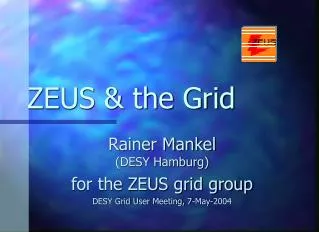 ZEUS &amp; the Grid