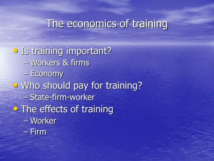 the economics of training