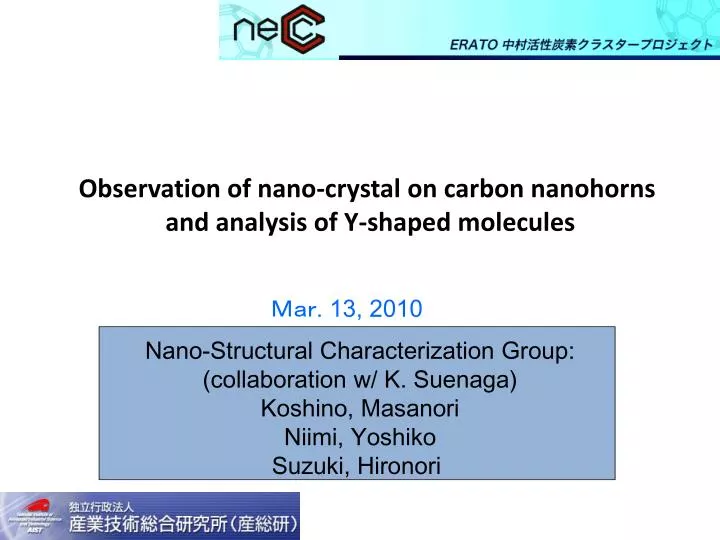 observation of nano crystal on carbon nanohorns and analysis of y shaped molecules