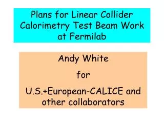 Plans for Linear Collider Calorimetry Test Beam Work at Fermilab