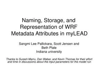 Naming, Storage, and Representation of WRF Metadata Attributes in myLEAD