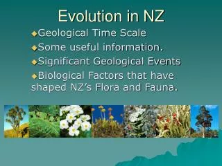 Evolution in NZ