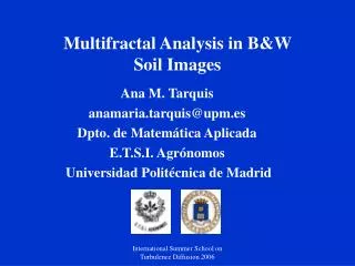 Multifractal Analysis in B&amp;W Soil Images