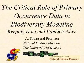A. Townsend Peterson Natural History Museum The University of Kansas