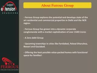 About Ferrous Group