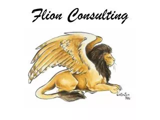 Flion Consulting