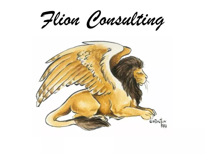 flion consulting