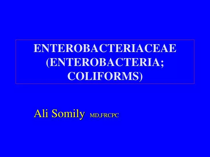 enterobacteriaceae enterobacteria coliforms