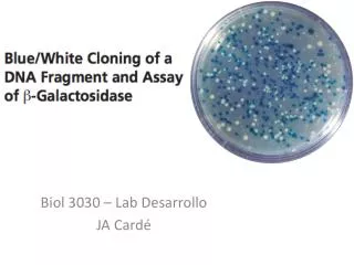 biol 3030 lab desarrollo ja card