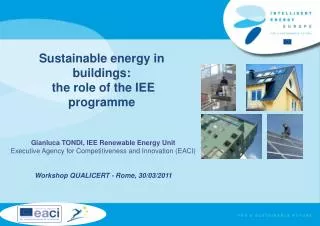 Sustainable energy in buildings: the role of the IEE programme