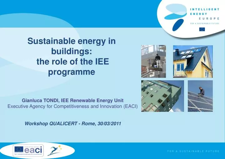 sustainable energy in buildings the role of the iee programme